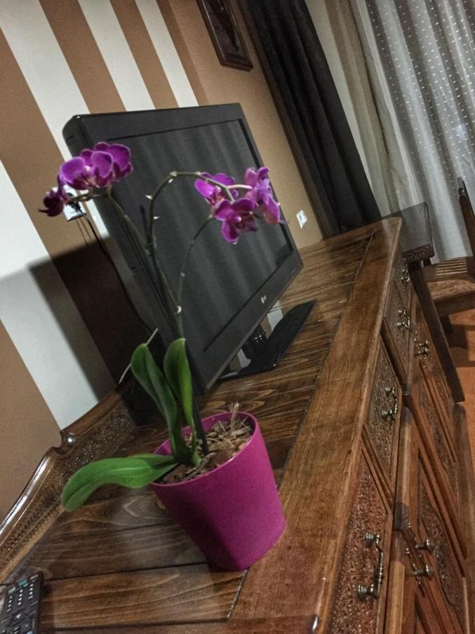 Hotel Oaza Konjic Exteriér fotografie